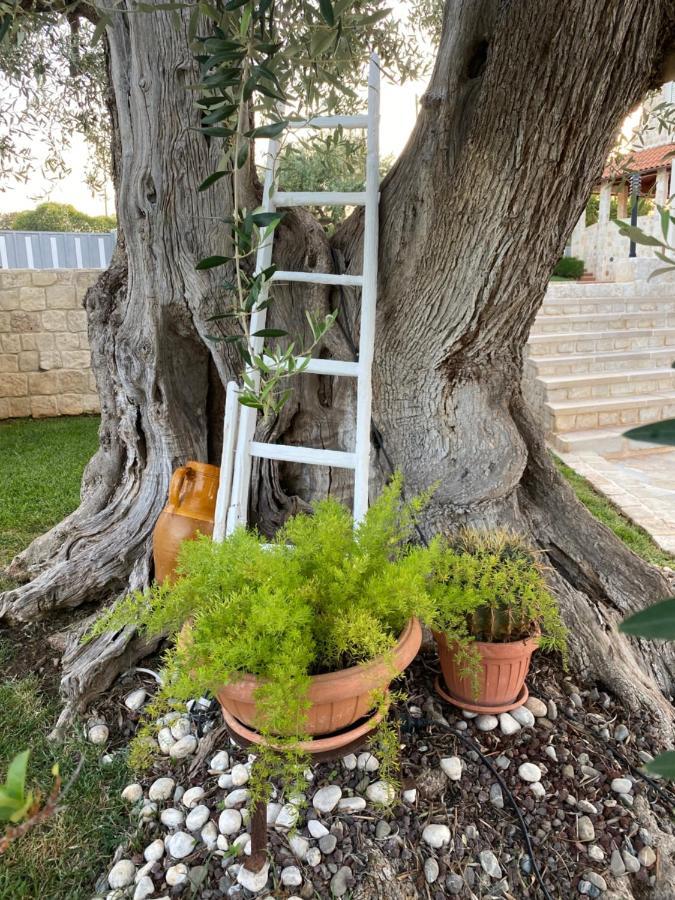 Trulli Del Relax Villa กัสเตลลานา กรอตเต ภายนอก รูปภาพ